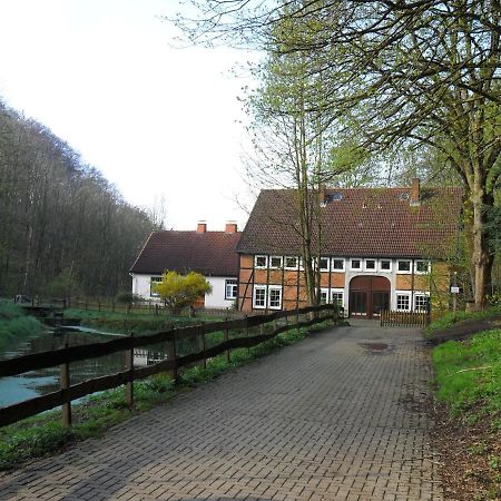 Hoellenmuehle Bed & Breakfast At The Mill Pond Hessisch Oldendorf Exterior photo