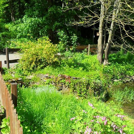 Hoellenmuehle Bed & Breakfast At The Mill Pond Hessisch Oldendorf Exterior photo