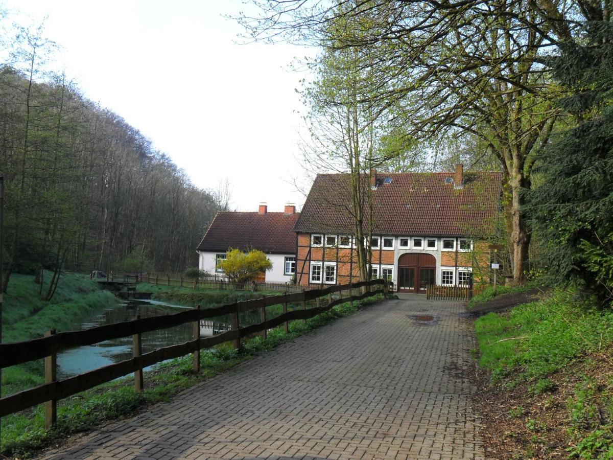 Hoellenmuehle Bed & Breakfast At The Mill Pond Hessisch Oldendorf Exterior photo