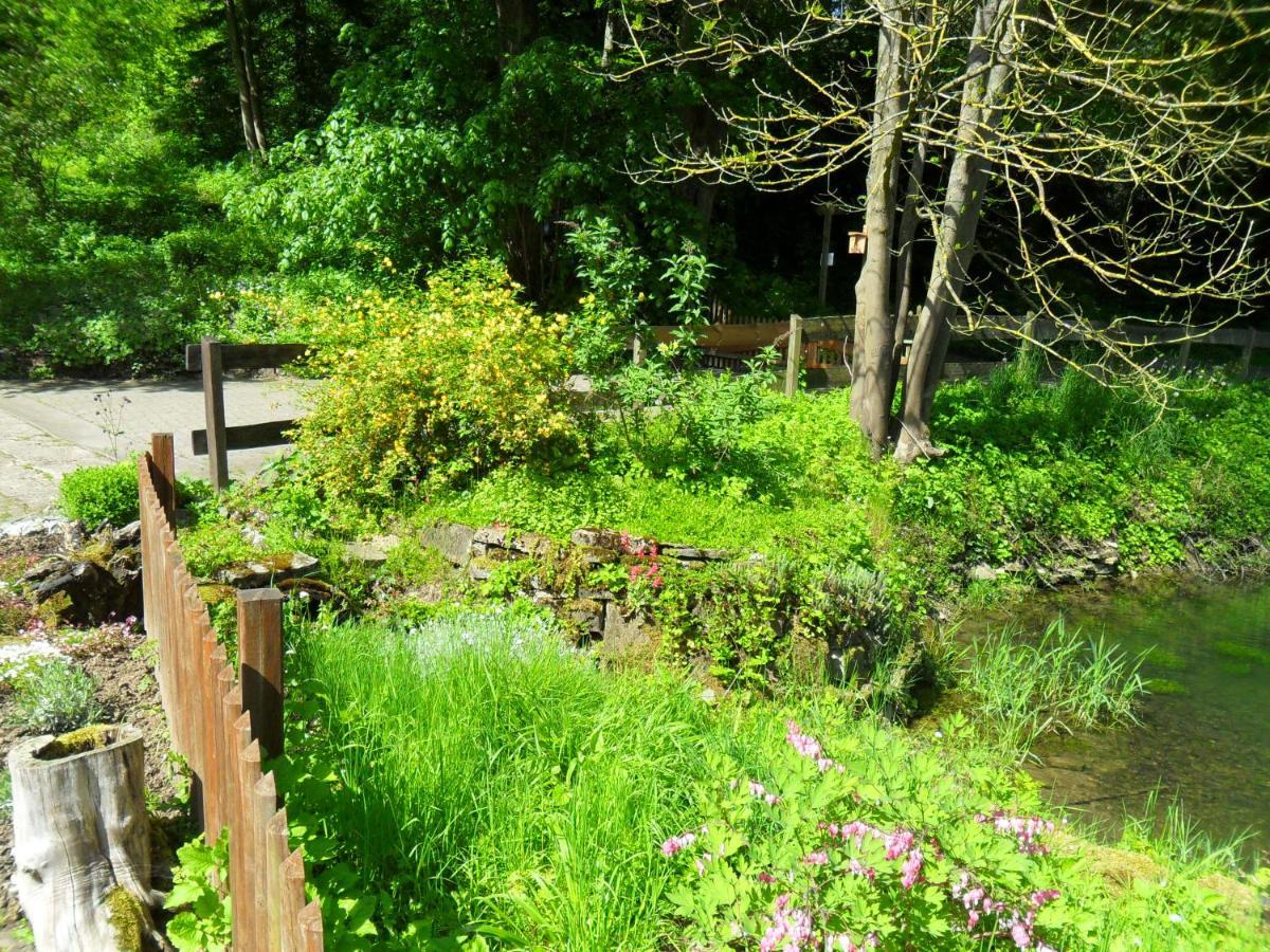 Hoellenmuehle Bed & Breakfast At The Mill Pond Hessisch Oldendorf Exterior photo
