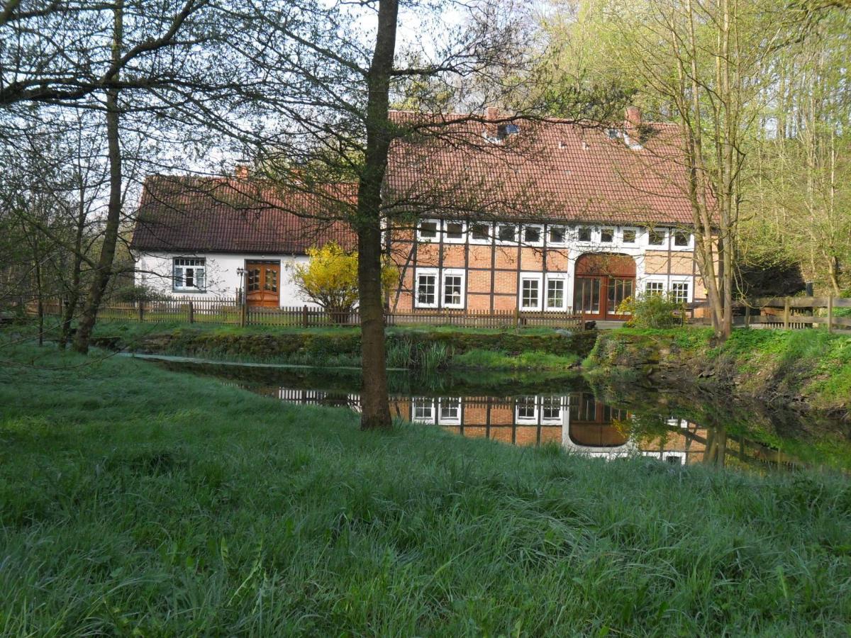 Hoellenmuehle Bed & Breakfast At The Mill Pond Hessisch Oldendorf Exterior photo
