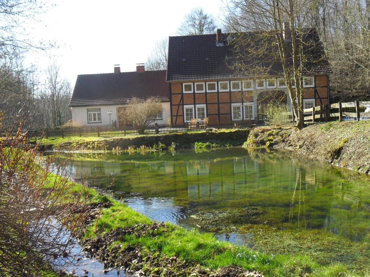 Hoellenmuehle Bed & Breakfast At The Mill Pond Hessisch Oldendorf Exterior photo