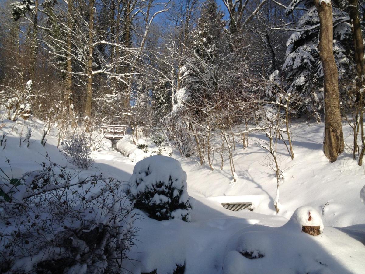 Hoellenmuehle Bed & Breakfast At The Mill Pond Hessisch Oldendorf Exterior photo