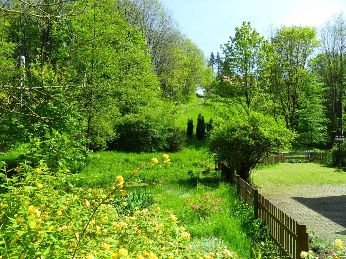 Hoellenmuehle Bed & Breakfast At The Mill Pond Hessisch Oldendorf Exterior photo